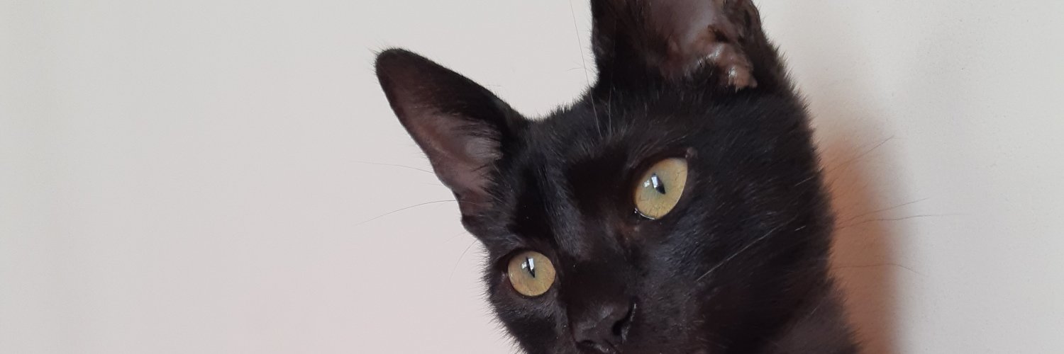 FlorroseFr's profile banner image