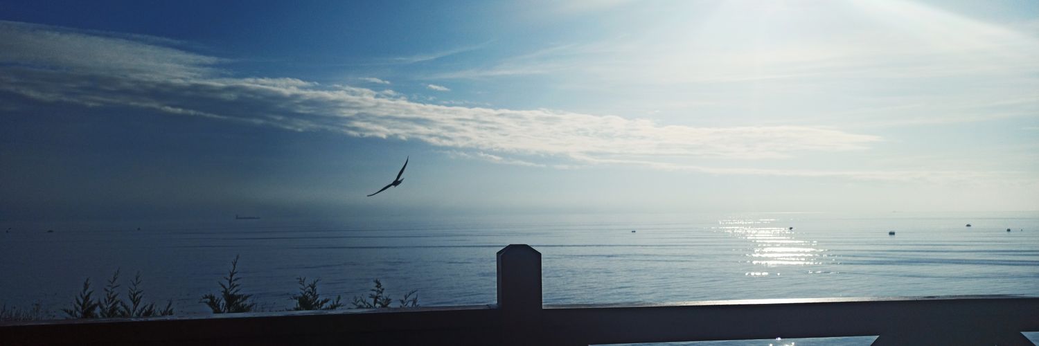 Quickside95's profile banner image
