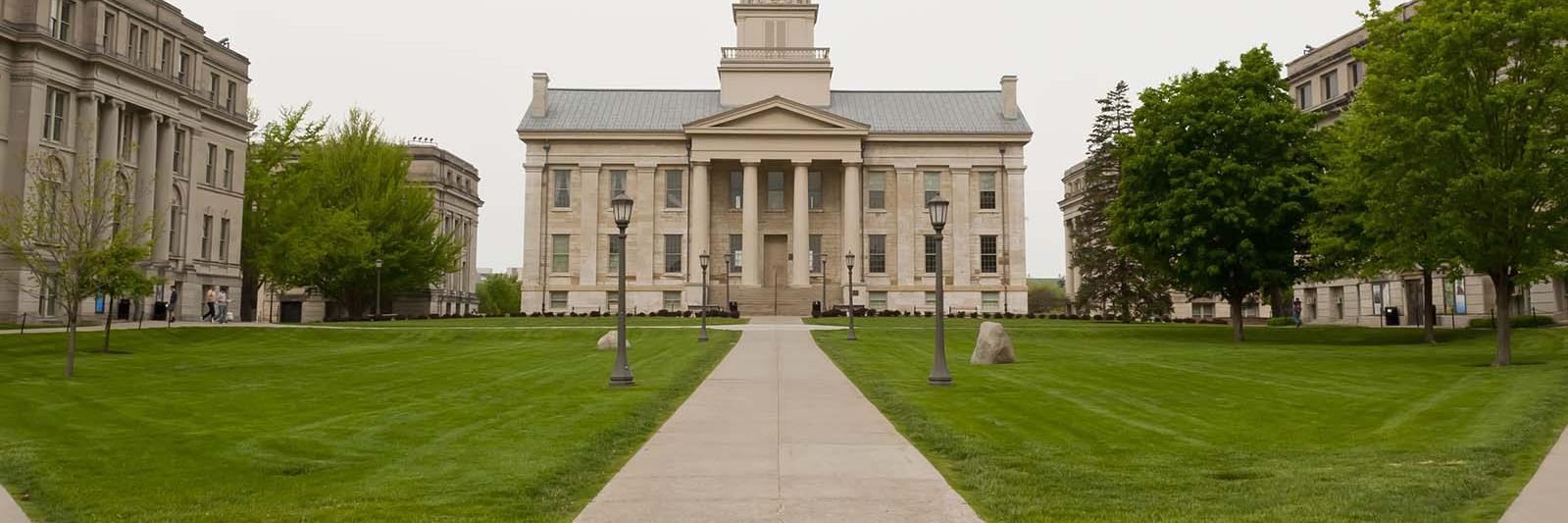 UIowaforWarren's profile banner image