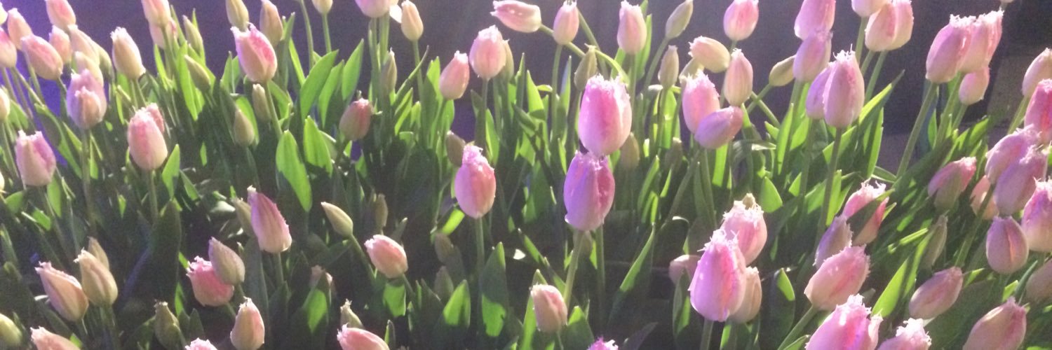 MariDouceur's profile banner image