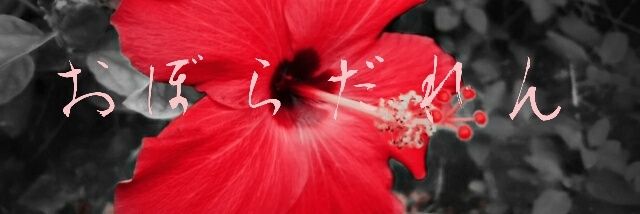 waido0317's profile banner image
