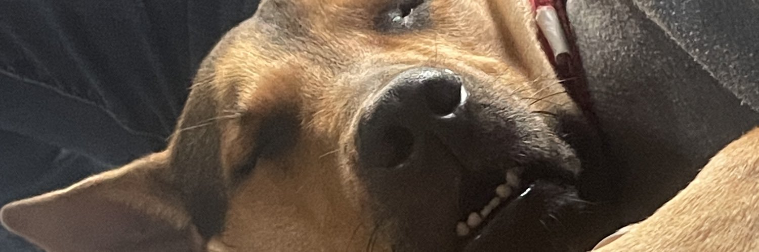 AlejandraQ11's profile banner image