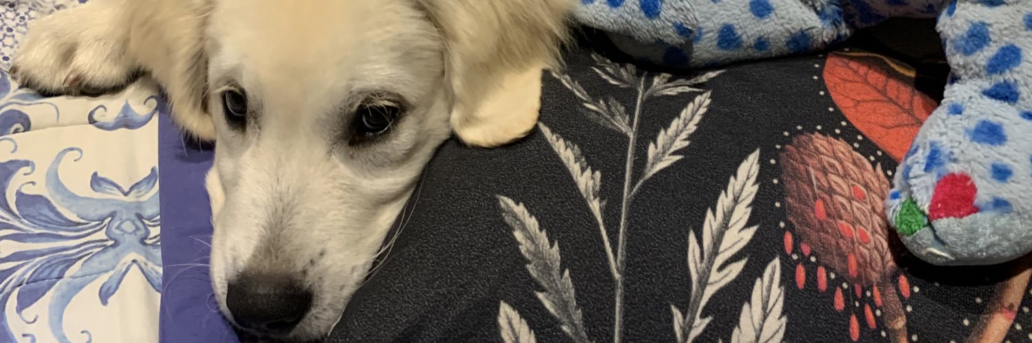 bellafernandesa's profile banner image