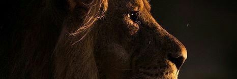 followerofshiv's profile banner image