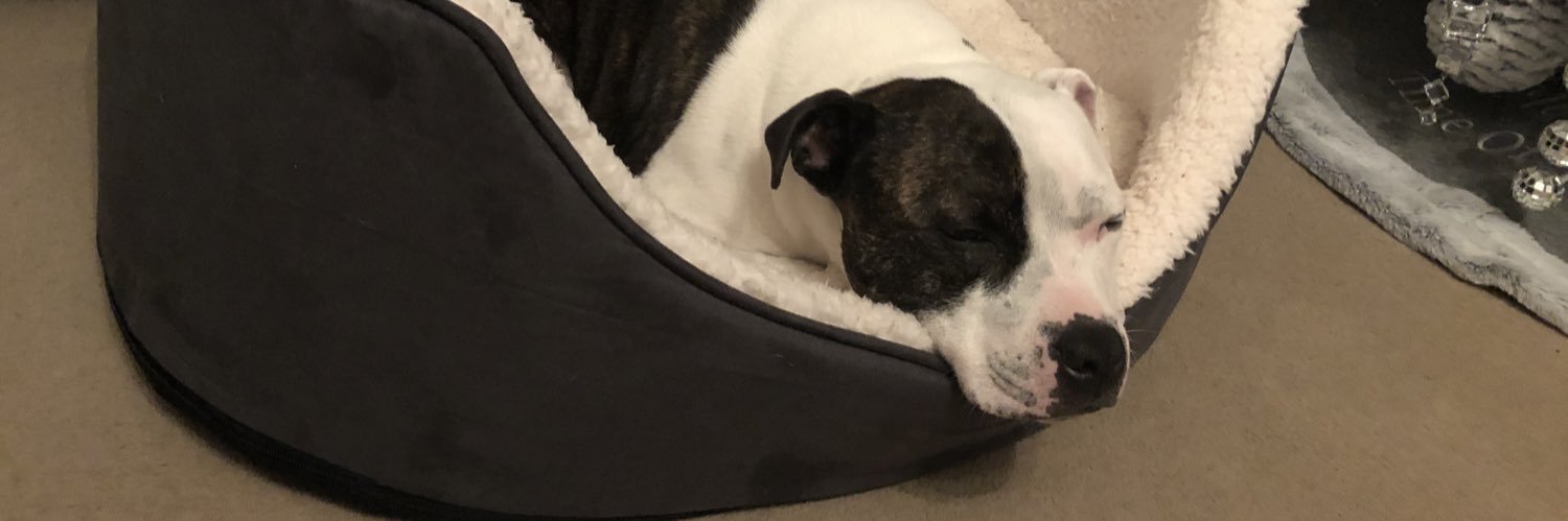 KatePollard10's profile banner image