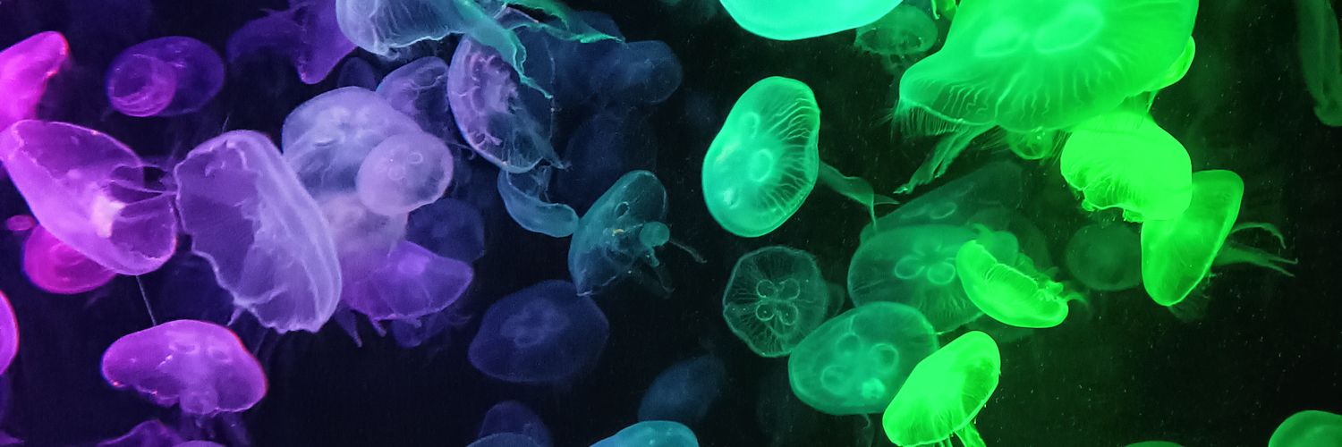 NEWNNEEWWW's profile banner image
