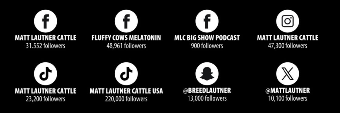 Matt Lautner banner