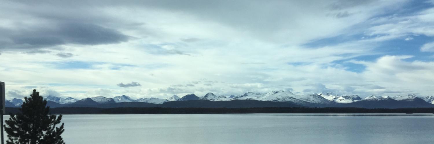 Lars-Erik Hansen banner