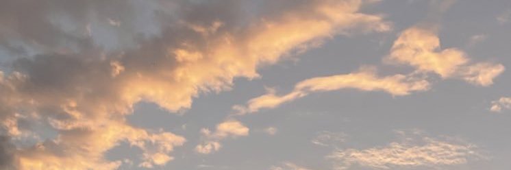 joy_boble's profile banner image