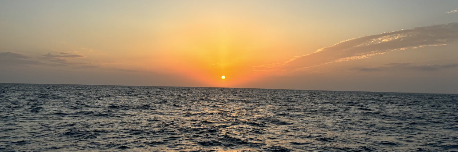 Julie Melendez Mitschow banner