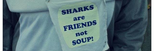 SharkFinFreeYYC's profile banner image