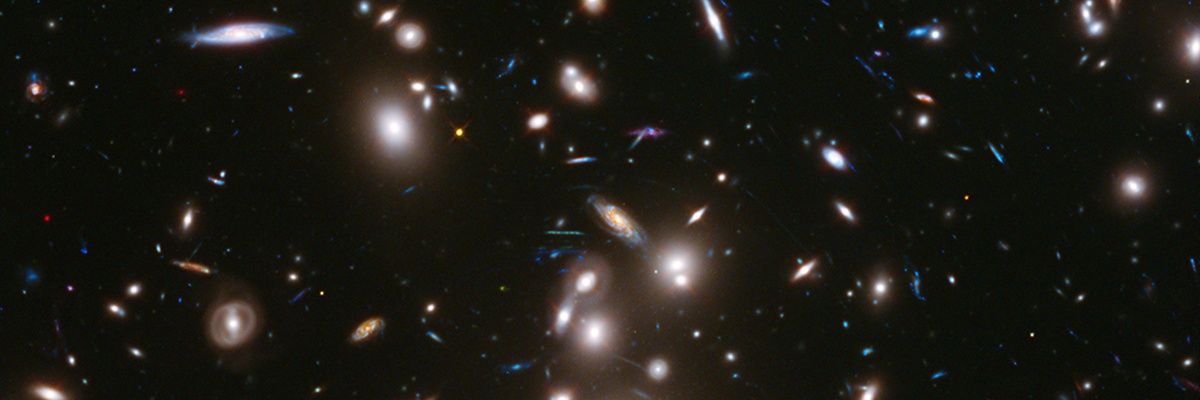 VueIVizz's profile banner image
