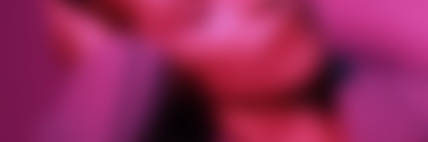 sieski's profile banner image