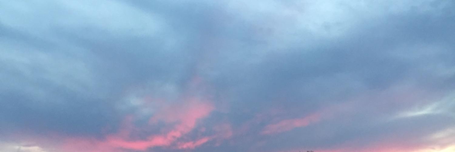 nolanelawley's profile banner image