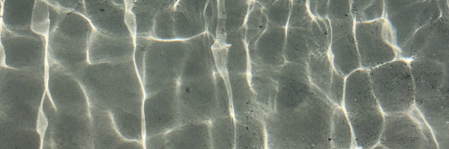 elideluna_'s profile banner image