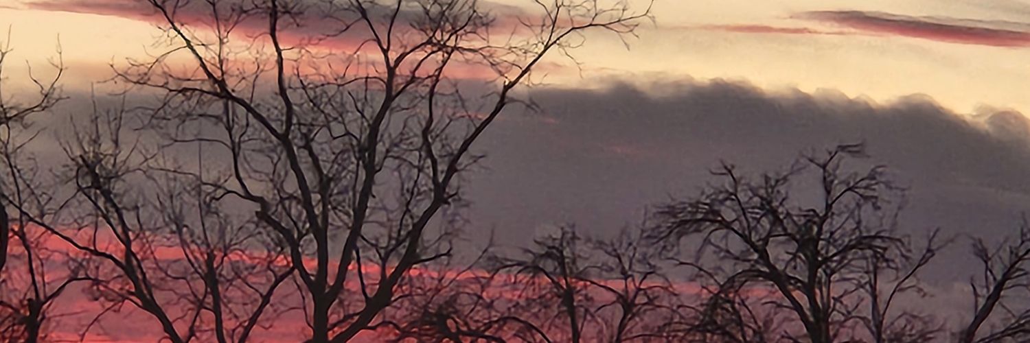 Lord of Gray Hawk banner