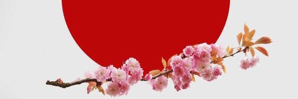 BodaciousLita's profile banner image