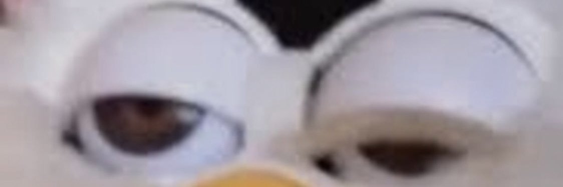 AEBogle's profile banner image