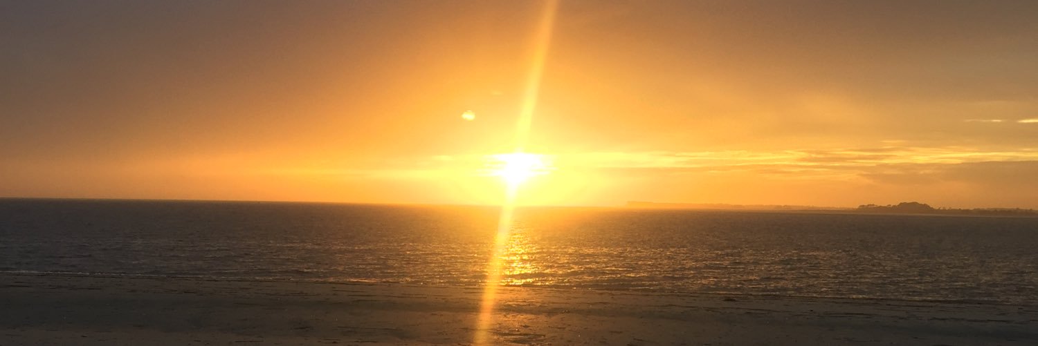 shuler_hal's profile banner image