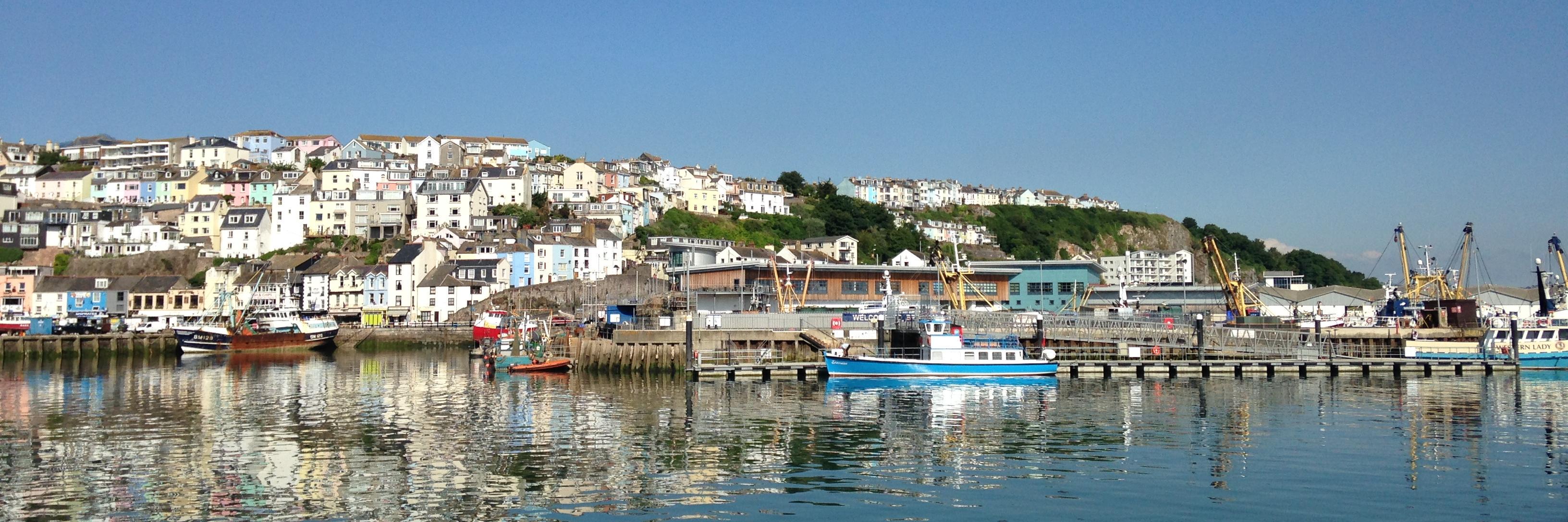 StandUp4Brixham's profile banner image
