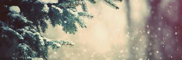 Nickiiii24's profile banner image