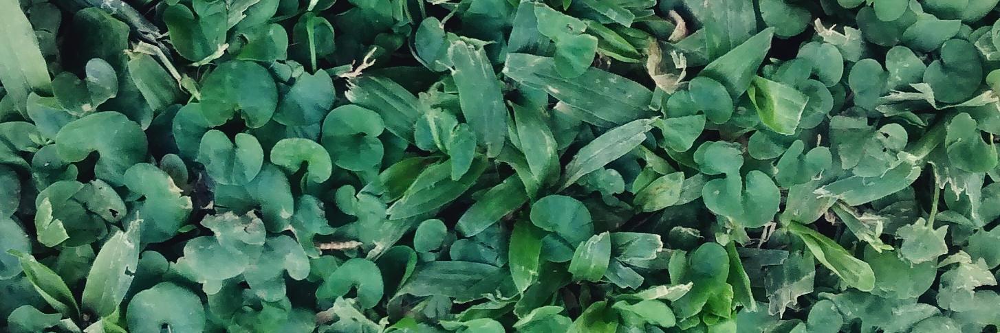 celingb's profile banner image