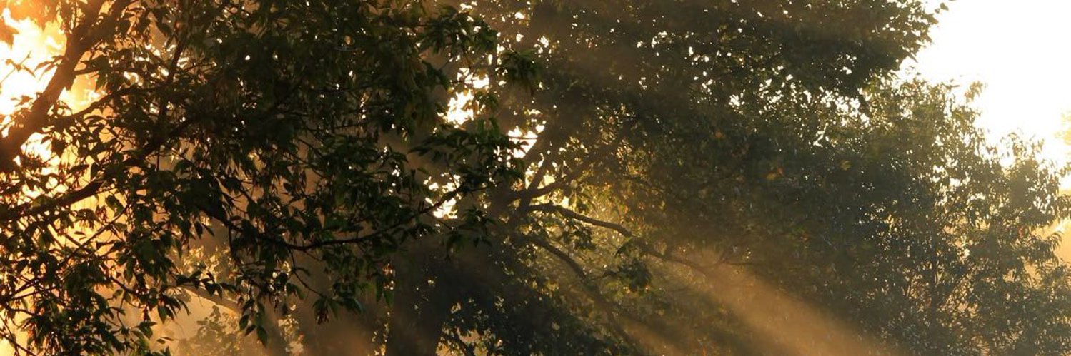 __uoii1's profile banner image