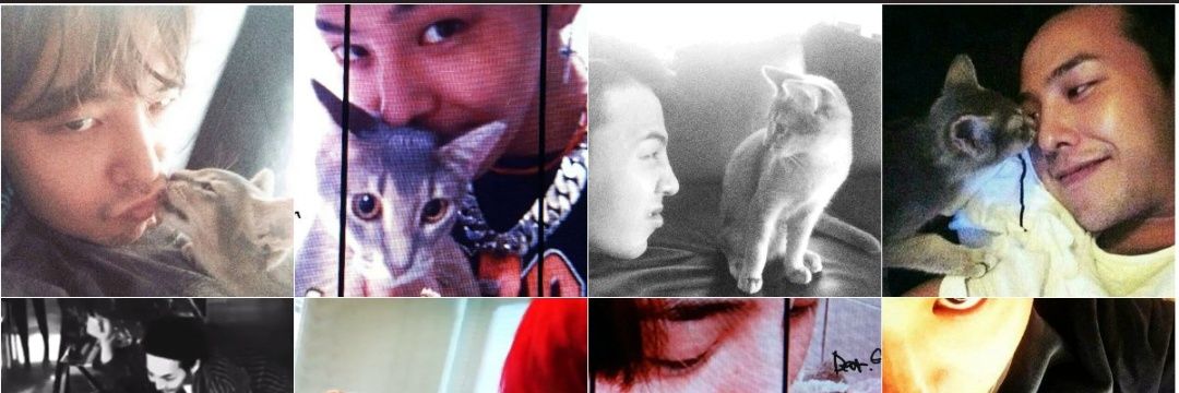 xximsirin's profile banner image