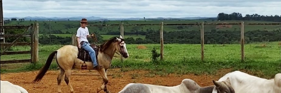 sofiataraujo's profile banner image