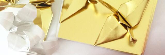 adriorigamis's profile banner image