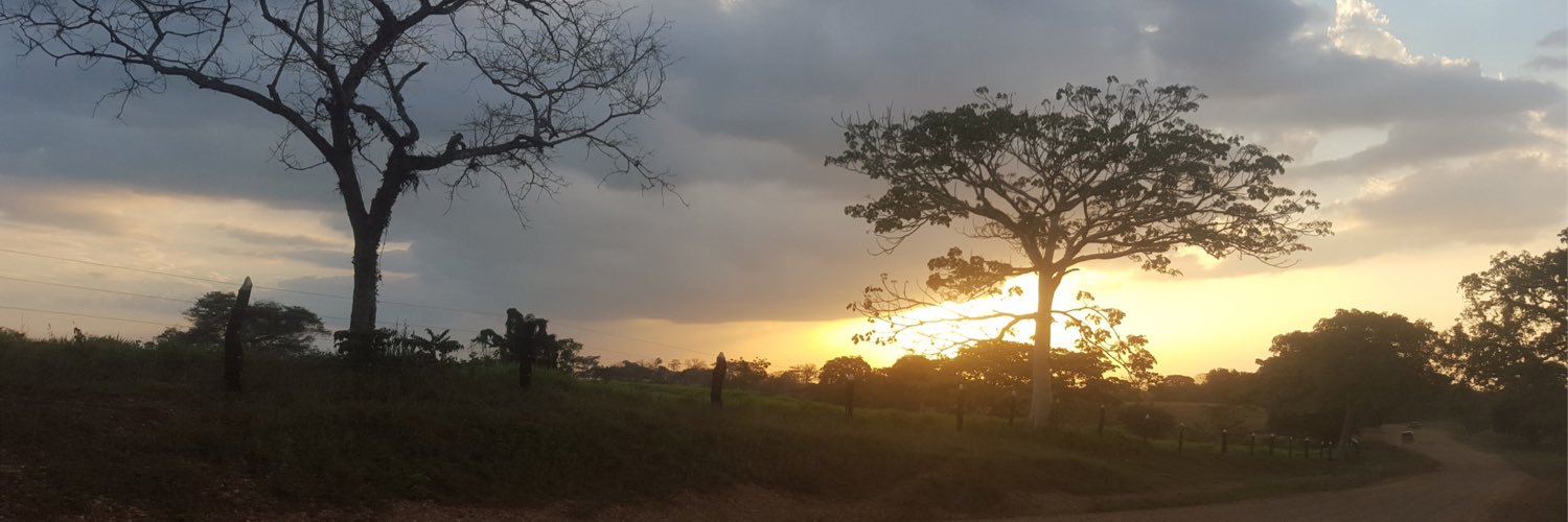 gabrielmor77's profile banner image
