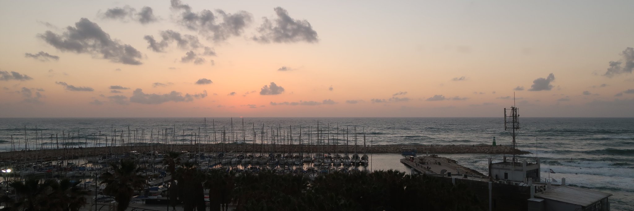 Steven Altchuler banner