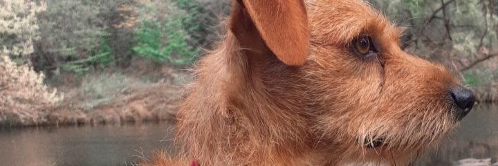 Vale_Tejeda11's profile banner image