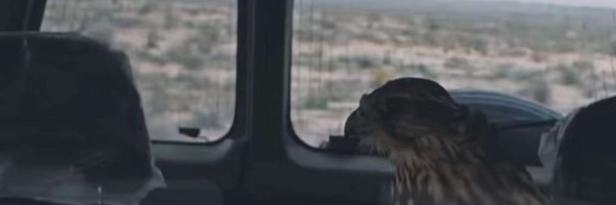 mlhwuf's profile banner image
