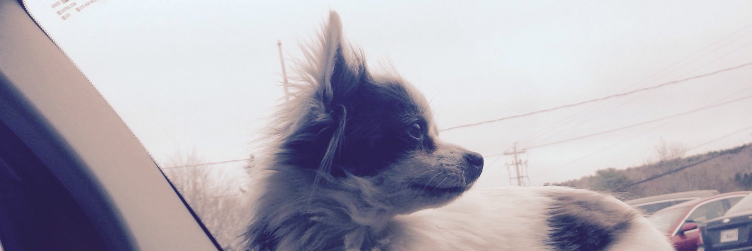 UnicornQuake's profile banner image