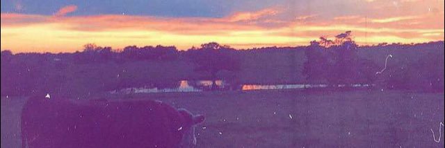 Tyler McCray Allan banner