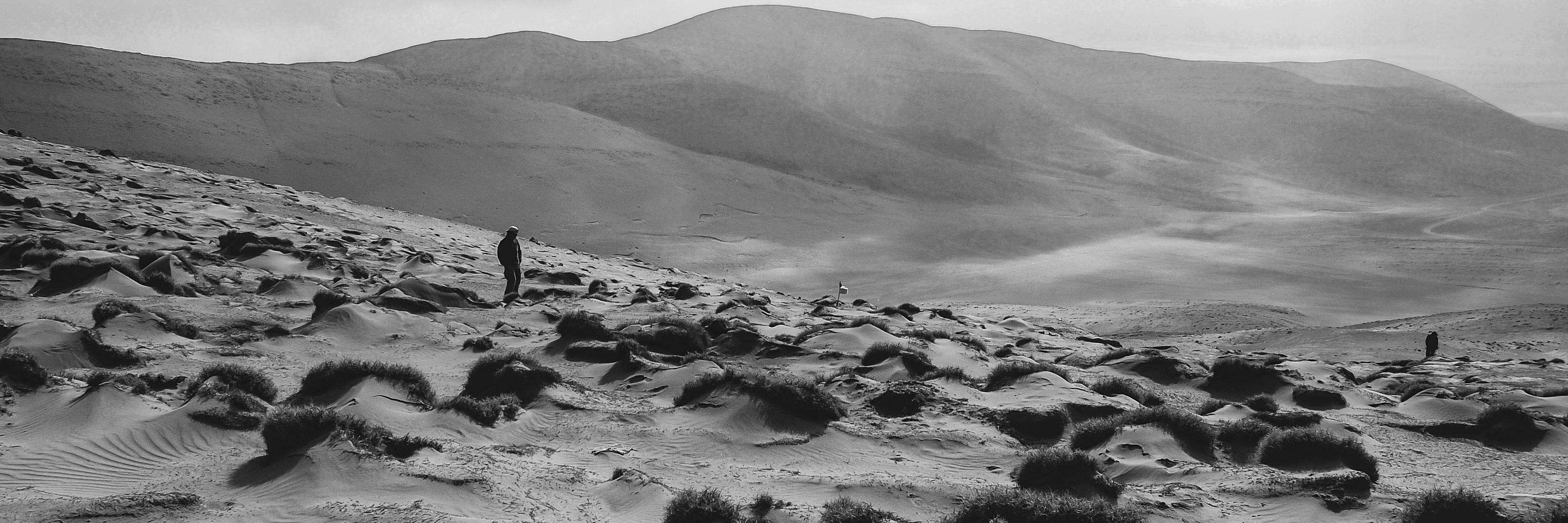 Angelica L. Gonzalez banner