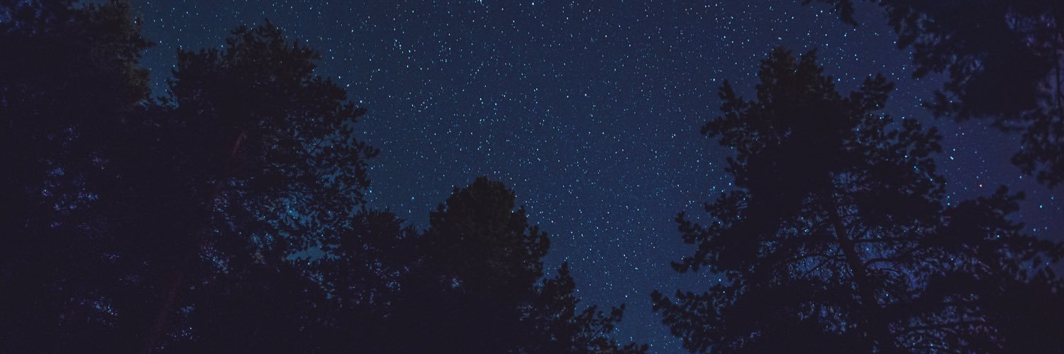 noturtigerlily's profile banner image