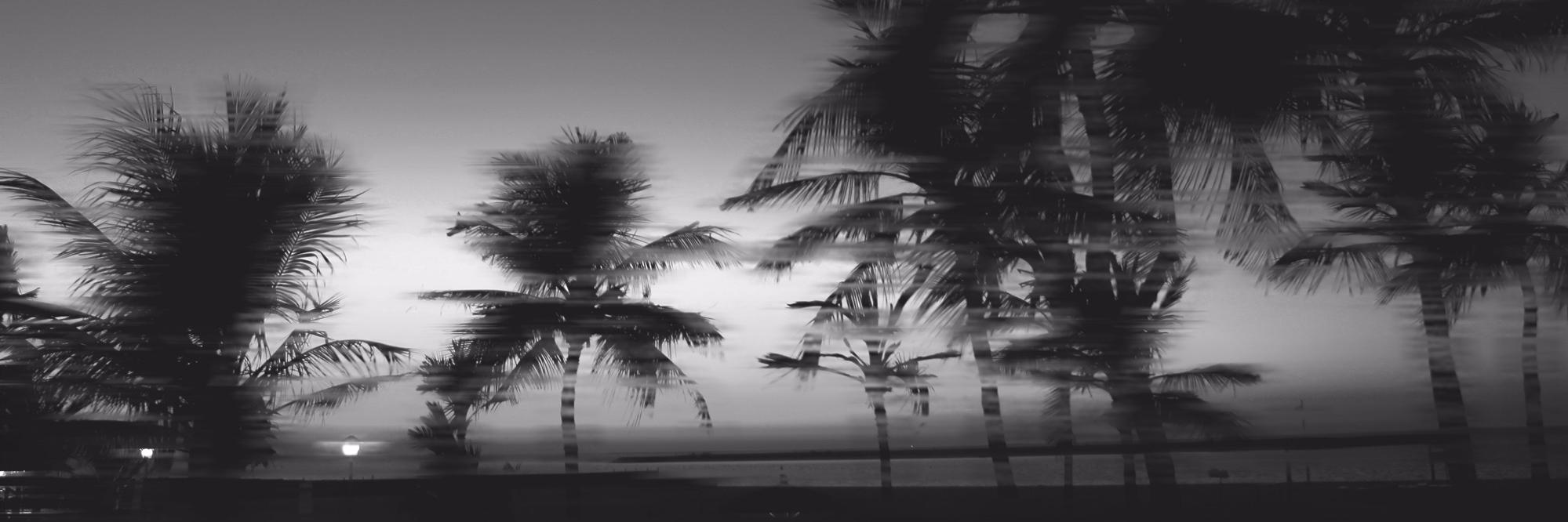 AesInf's profile banner image