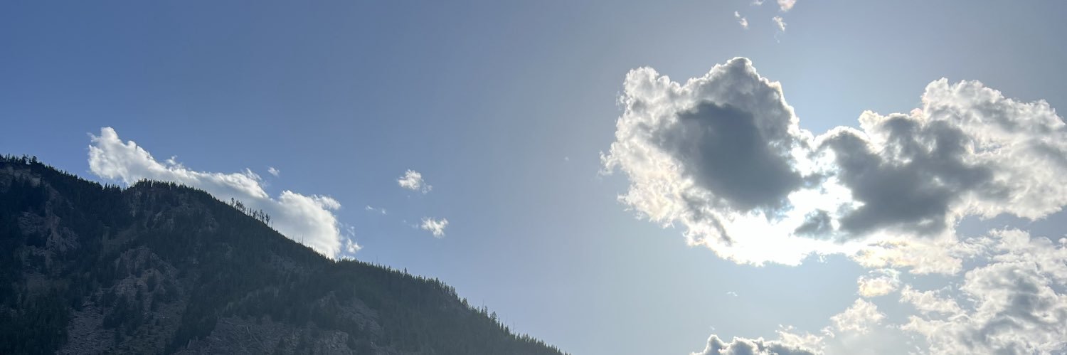 Britney Fesco banner