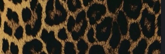 Luvvv__ash's profile banner image