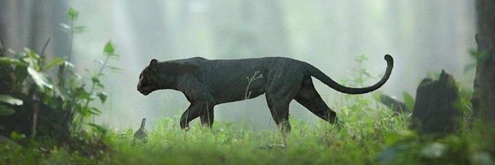 amedzojohn94's profile banner image
