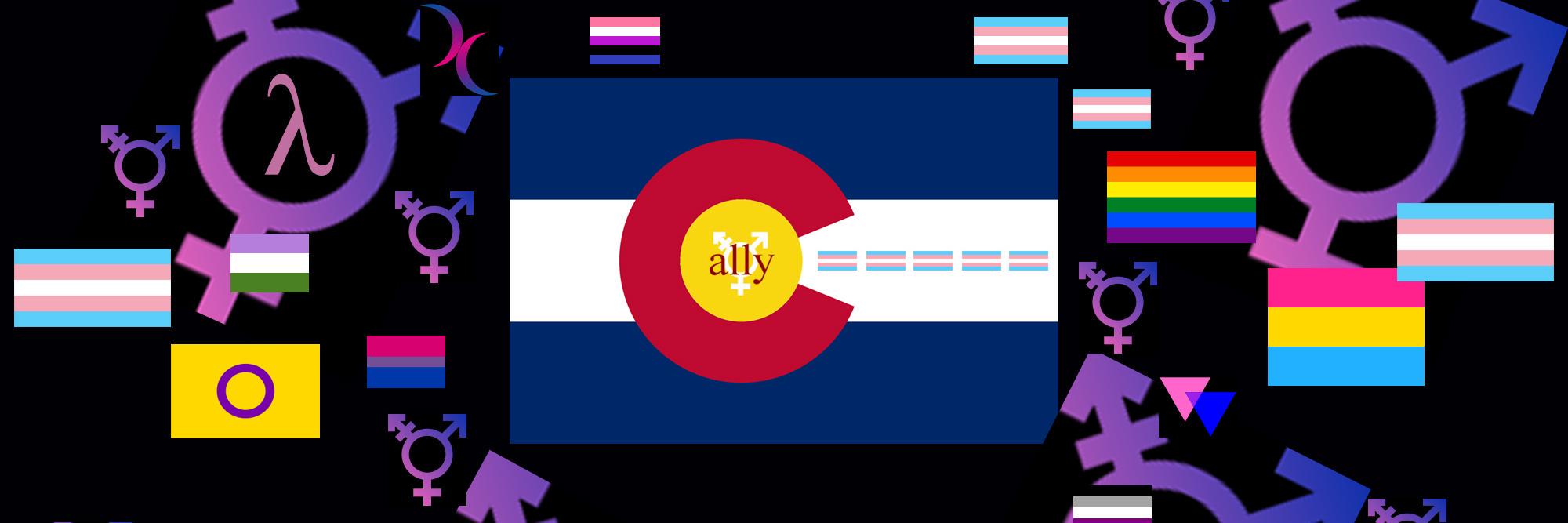 AllyColorado's profile banner image