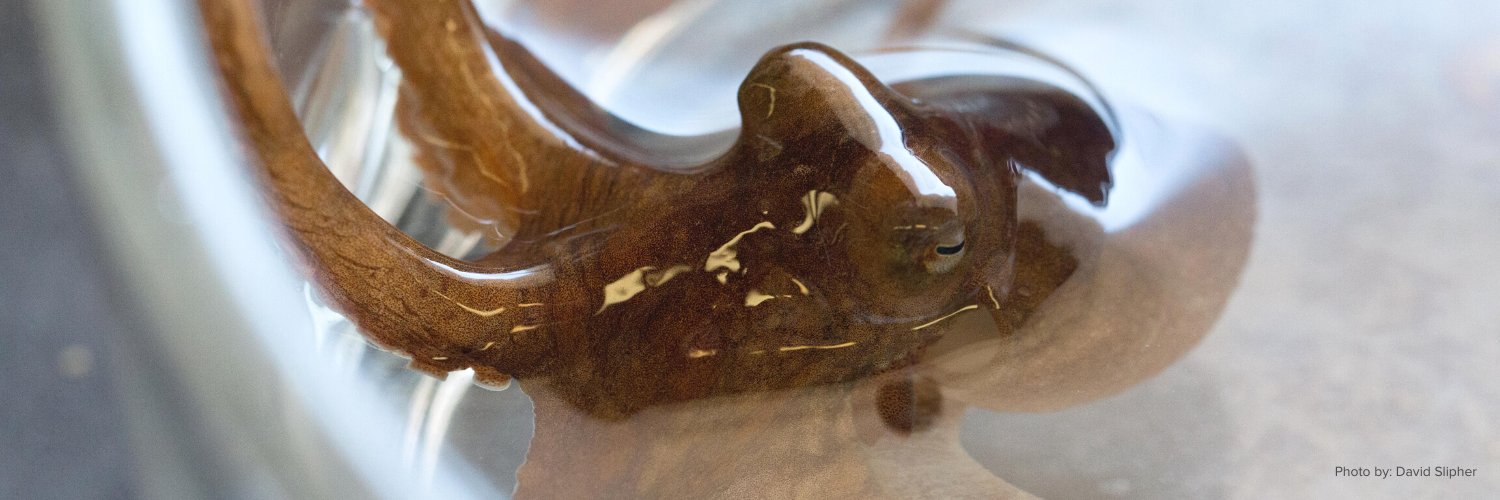 UC Davis Coastal and Marine Sciences Institute banner