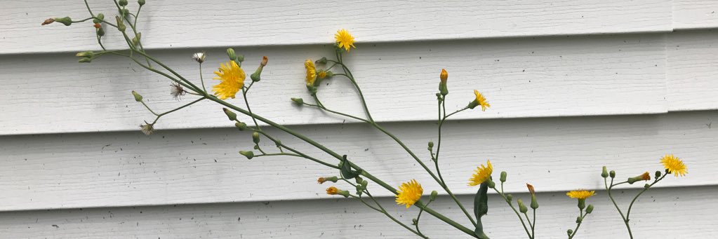 FINKband's profile banner image
