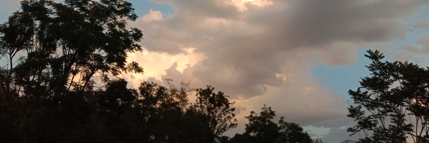 pankuindus33's profile banner image