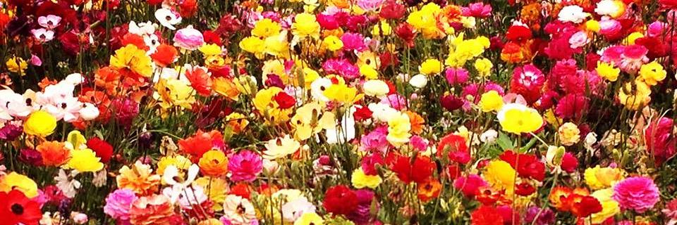 UKmummyof2's profile banner image