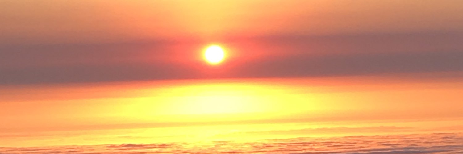BoSavage361's profile banner image