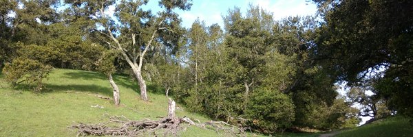 Jleescience Profile Banner