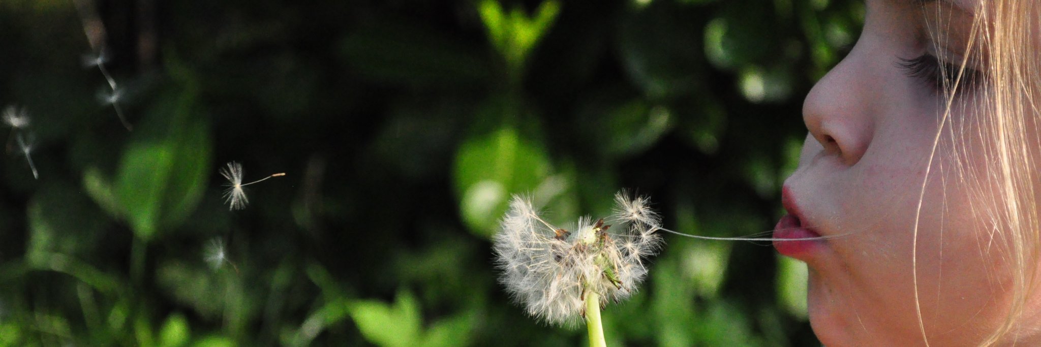 SumBonInc's profile banner image